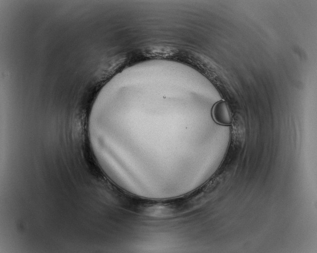 X0000116770460200912311841