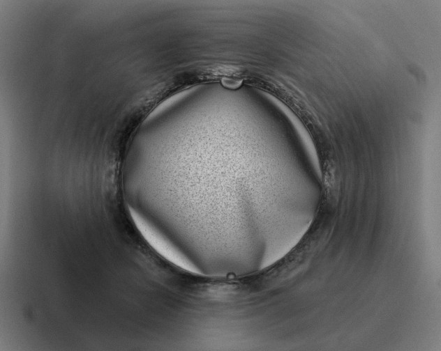 X0000116770462200912311841