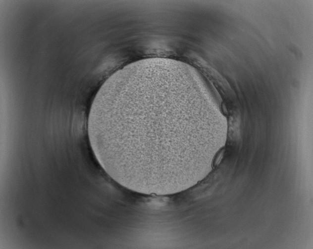 X0000116770474200912311841