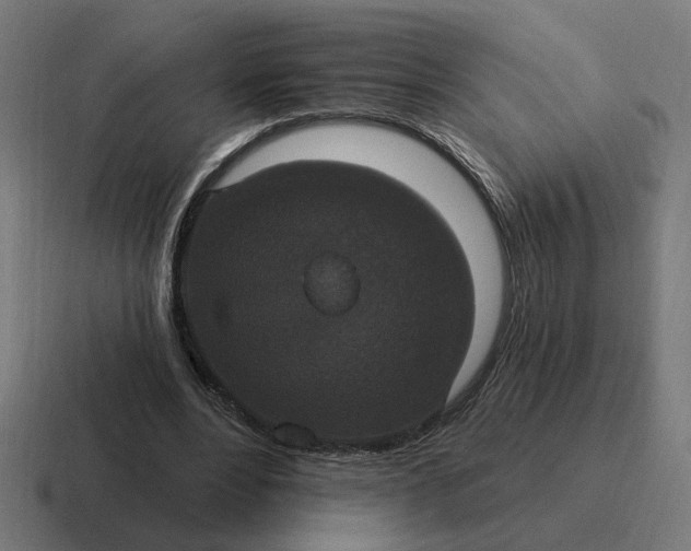 X0000116770488200912311841