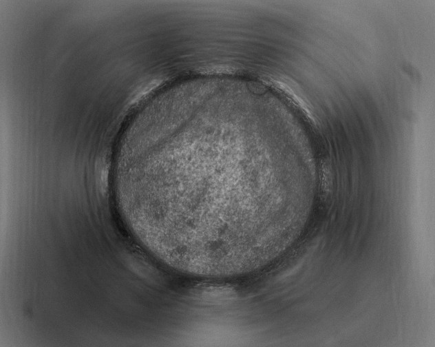 X0000116770491200912311841