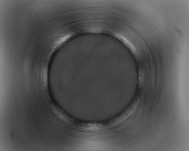 X0000116770493200912311841