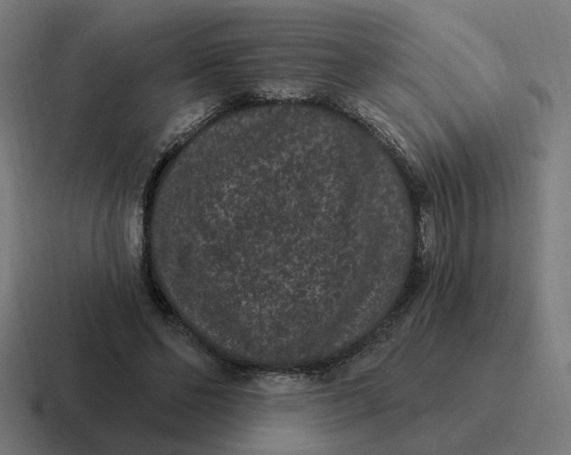X0000116770494200912311841