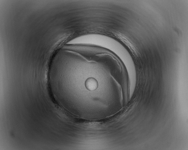 X0000116770501200912311841