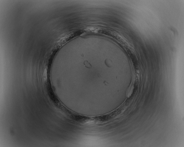 X0000116770504200912311841