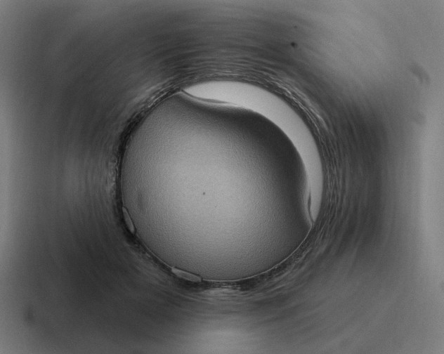 X0000116770505200912311841