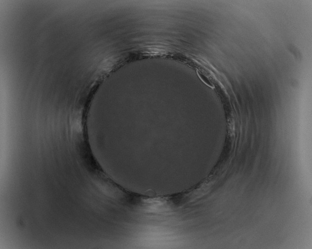 X0000116770516200912311840