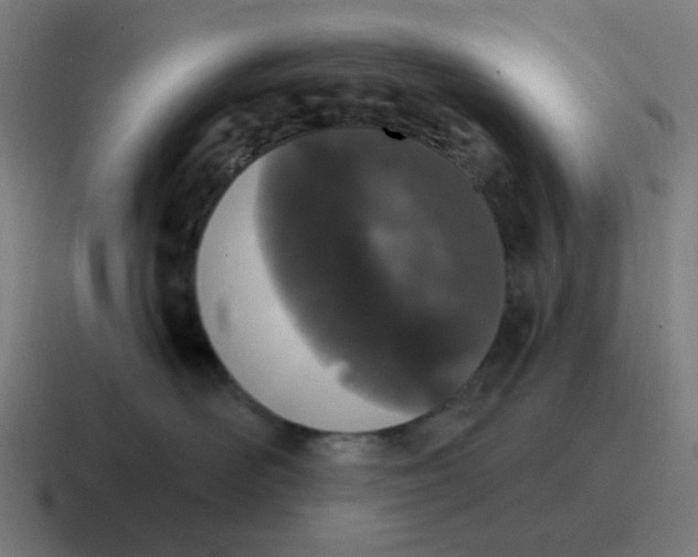 X0000116770526200912311840