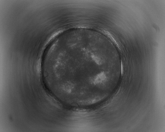 X0000116770531200912311840