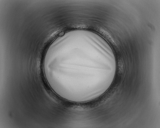X0000116770538200912311840