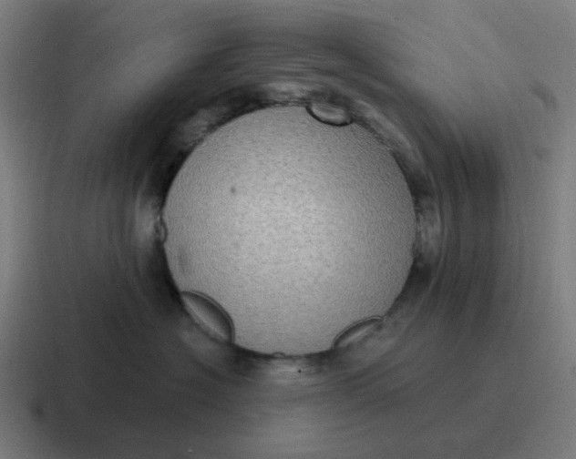 X0000116770574200912311840