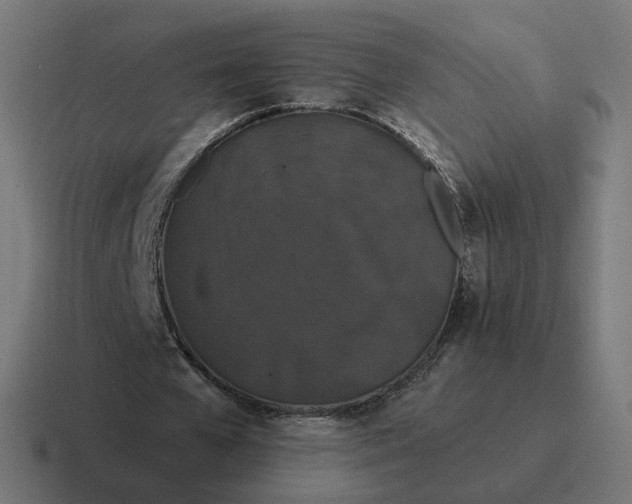 X0000116770577200912311840