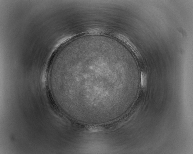 X0000116770579200912311840