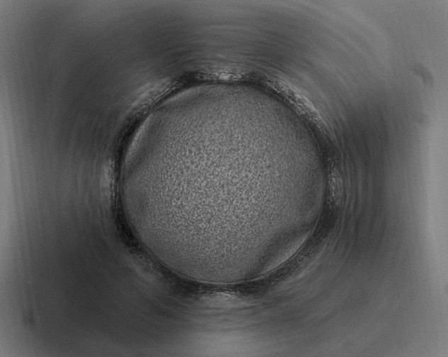X0000116770594200912311839