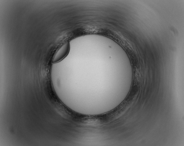 X0000116770601200912311839