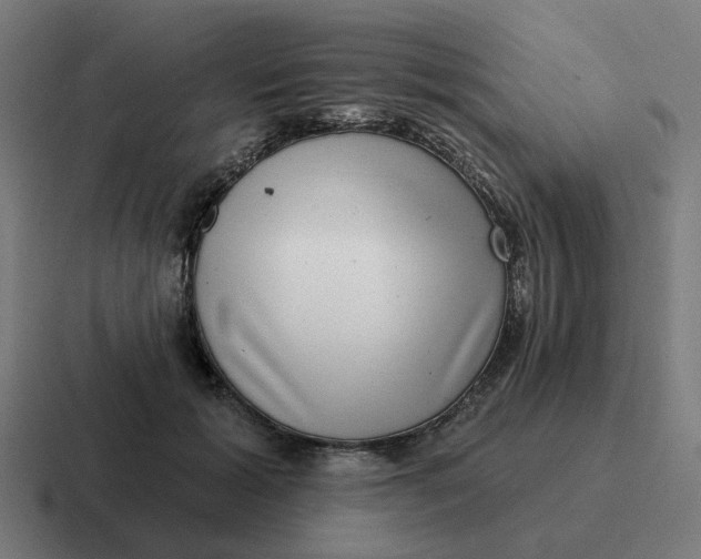 X0000116770605200912311839