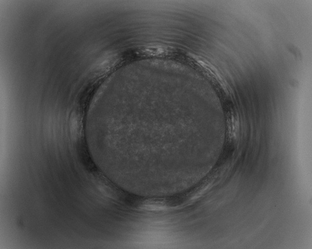 X0000116770606200912311839