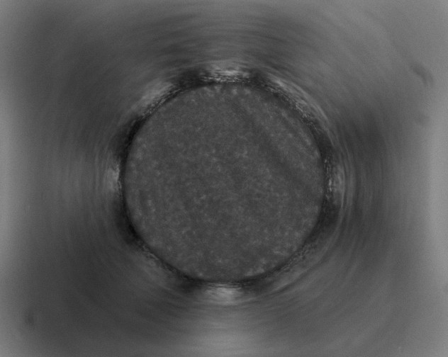 X0000116770610200912311839