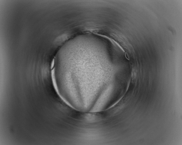 X0000116770623200912311839