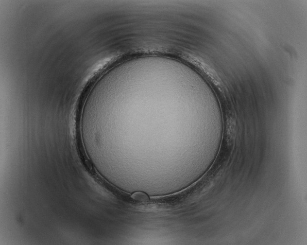X0000116770629200912311838