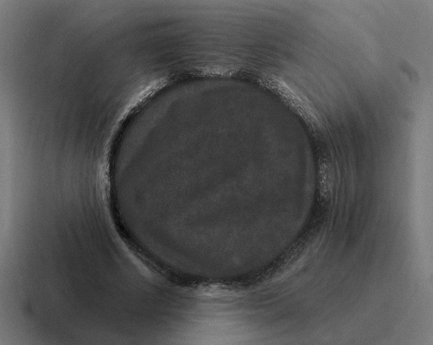 X0000116770634200912311839