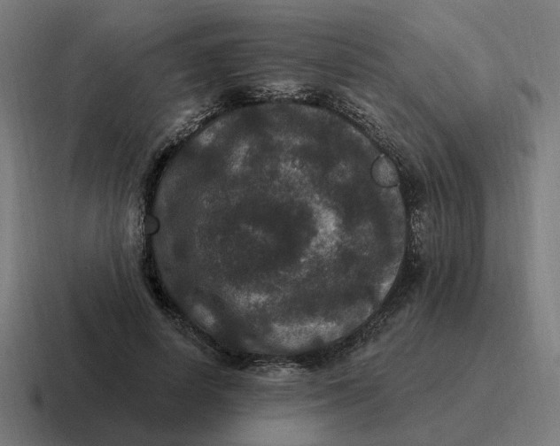 X0000116770642200912311839