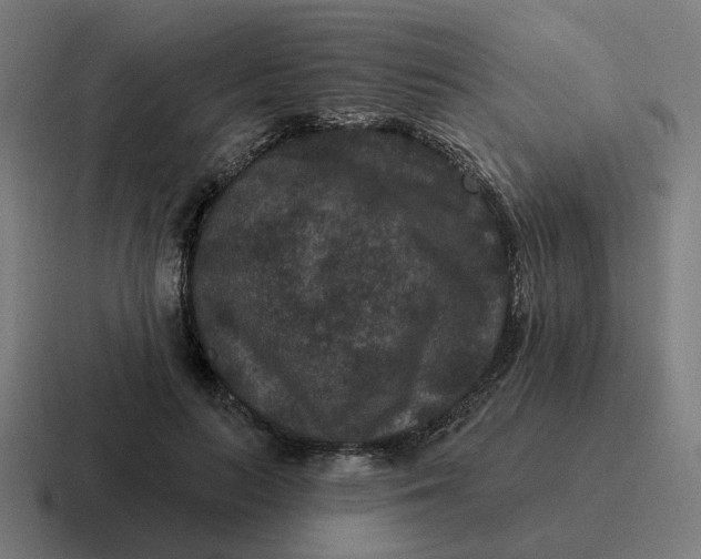 X0000116770647200912311839
