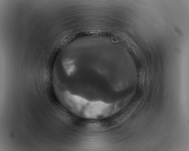X0000116770653200912311839