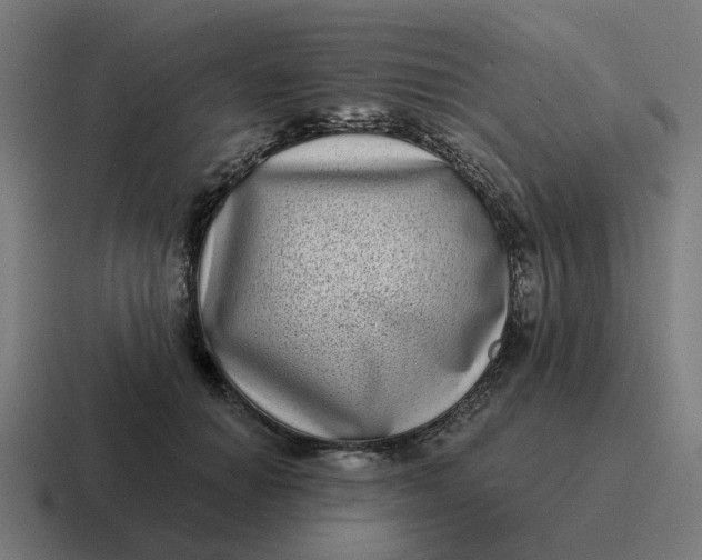 X0000116770654200912311839