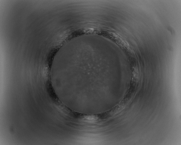 X0000116770659200912311839