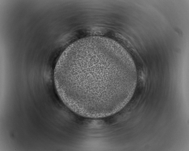X0000116770663200912311839