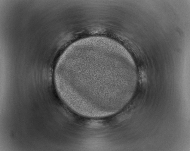 X0000116770664200912311839