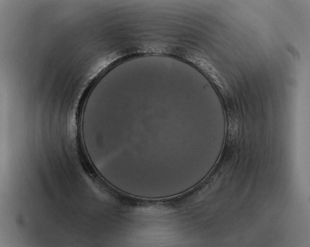 X0000116770674200912311838