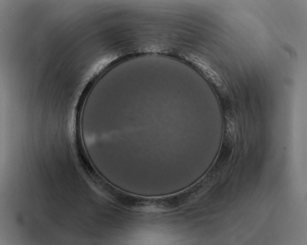 X0000116770678200912311838