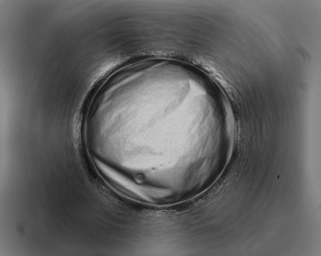 X0000116770679200912311838