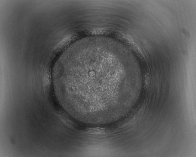 X0000116770691200912311838