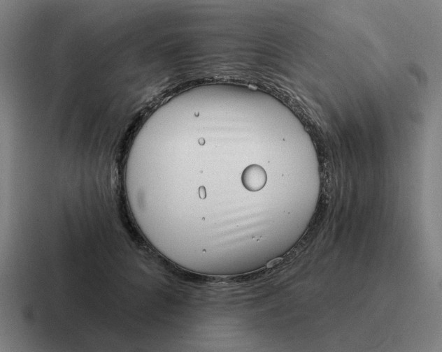 X0000116770704200912311838