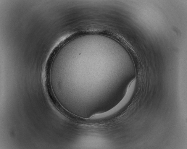 X0000116770726200912311837