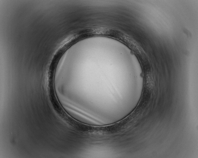 X0000116770730200912311837