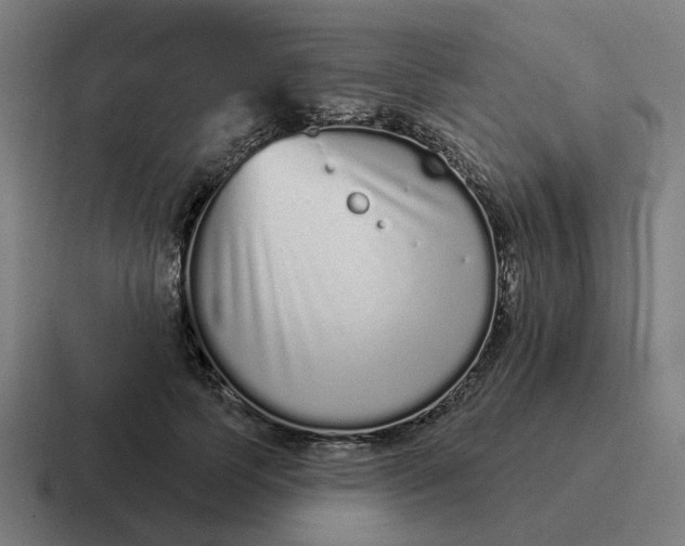 X0000116770745200912311838