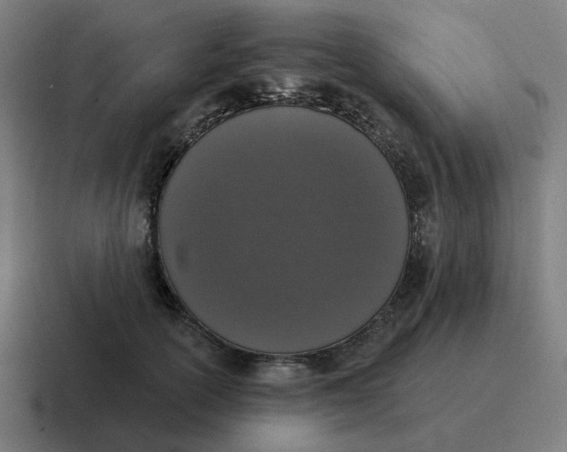 X0000116770754200912311838