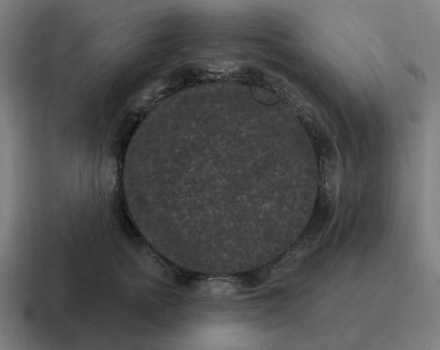 X0000116770758200912311838