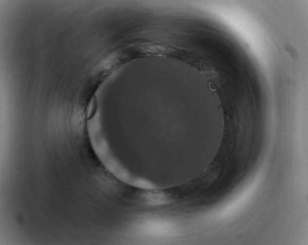 X0000116770767200912311838