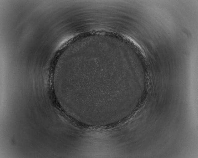 X0000116770775200912311837