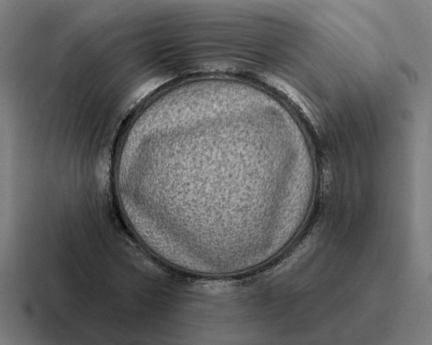 X0000116770778200912311837