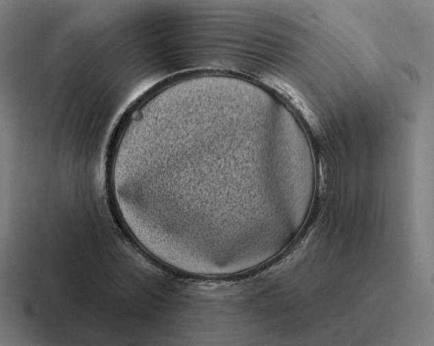 X0000116770780200912311837