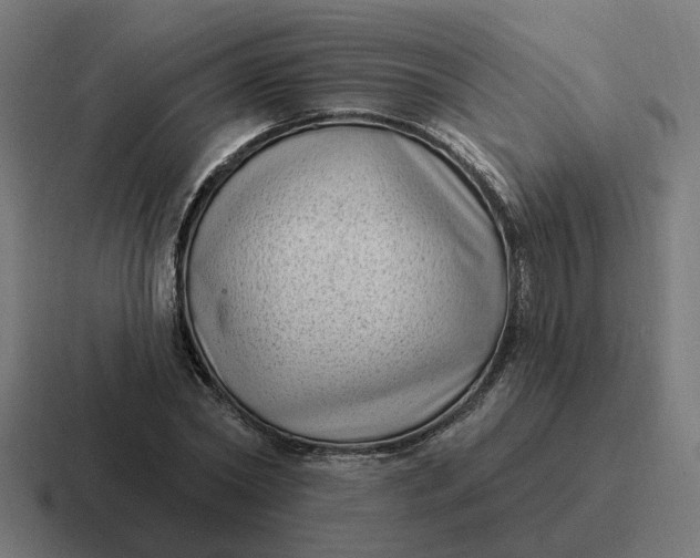 X0000116770782200912311837