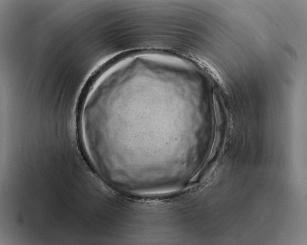 X0000116770784200912311837