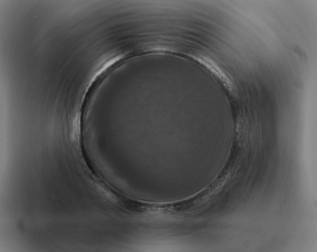 X0000116770790200912311837