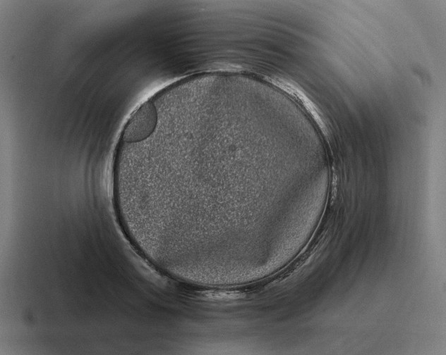 X0000116770795200912311837